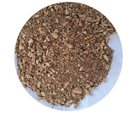 RDESTOWIEC RDEST japoński 1 kg Korzeń