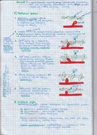 NOTATKI MATURALNE Z BIOLOGII cz. 2 - 3-letnie liceum