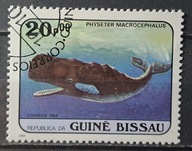 Ryby (kas) - luzak - do uzupełnień 13/7