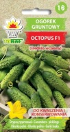 Nasiona ogórek gruntowy Toraf Octopus F1 1 g