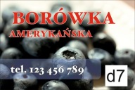 BANER SPRZEDAŻ BORÓWKI BORÓWKA 120X80 d7