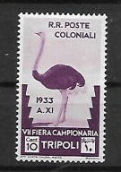 Tripolitania x D750 fauna ptaki MH VF