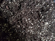 Podłoże Specjalne Torf Muchołówka Rosiczka 3L!