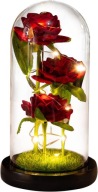 3X WIECZNA RÓŻA W SZKLE PIĘKNE RÓŻE W KOPULE Z TRAWKĄ ŚWIECĄCA LAMPKA LED