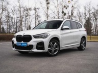 BMW X1 sDrive18i, Salon Polska, Serwis ASO