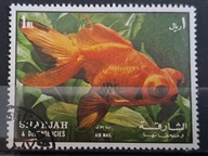 Ryby (kas) - luzak - do uzupełnień 13/5