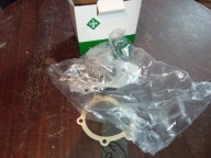 Schaeffler INA 538 0019 10 Pompa wody, chłodzenie silnika
