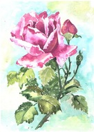 =KWIACIARNIA= Obraz =martwa natura=KWIATY=akwarela=