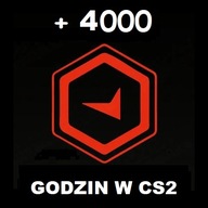 KONTO CS2 GODZINY | 4000h | SMURF | CS GO | FA