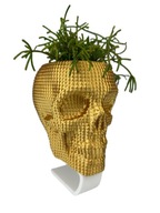 Doniczka nowoczesna osłonka Czaszka złota z podstawką zdejmowana unikatowa