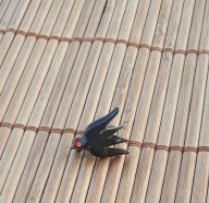 WHW - Gau 10 Hessen -Nassau. Jaskółka -Schwalbe-