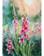 Obraz akwarela Mieczyki Denys Tsarenko Oryginał