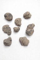 Dekoracyjne „meteoryty” do formikarium dla mrówek – Messor barbarus