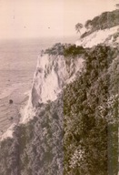 Międzyzdroje Woliński Park Narodowy