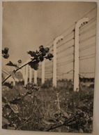 OŚWIĘCIM - BRZEZINKA AUSCHWITZ - BIRKENAU - 2 ORYGINALNE PIECZĄTKI