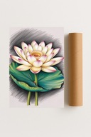 Plakat bez ramy 30x40 cm Kwiat lotosu w pełnym rozkwicie – dekoracja