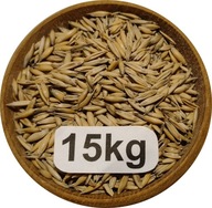 Owies Ozimy, Biały, Od Rolnika 15kg, 2025r