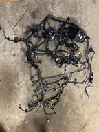 RIO IV V 17- 1.0T WIĄZKA INSTALACJA SILNIKA SKRZYNKA BEZPIECZNIKÓW