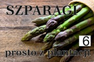 REKLAMA BANER SZPARAGI SPRZEDAŻ SZPARAGÓW 200x100 2x1 6