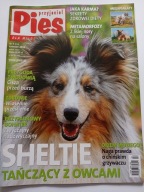 Przyjaciel Pies nr 4 2013 Sheltie czasopismo + plakat Amstaff i Pirenejski