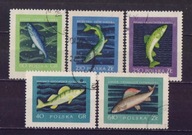 Fi. 906-610 kas. Szlachetne gatunki ryb. - 1958