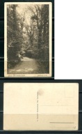K13728) Niemcy: Bad Oeynhausen, Sielallee
