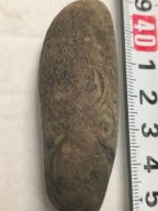 Agat mszysty muszlowy