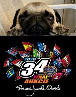 Henryk na 34. Finał WOŚP - ach te oczy...