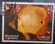 Ryby (kas) - luzak - do uzupełnień 13/5