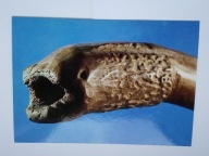 GIECZ - Rezerwat Archeologiczny, fragment rękojeści pejcza z X w