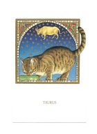 Pocztówka - Francien, Kocie znaki zodiaku - Byk (Taurus) ...