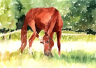 = Obraz =scena rodzajowa=akwarela=KONIE=