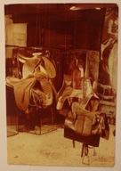 WARSZAWA. MUZEUM SPORTU I TURYSTYKI. JEŻDZIECTWO, NAKŁAD TYLKO - 1000 SZTUK