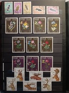 FAUNA I FLORA ŚWIATA - ZESTAW