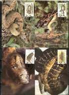 A51343)WWF-Maximum Karty Gady i Plazy: Jamaika 591 - 594