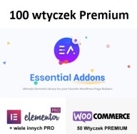 Essential Addons Pro for Elementor. WordPress