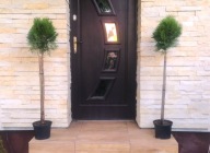 Tuja thuja szmaragd NA PNIU KULA 70-80cm PIĘKNA