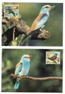 5-MC03-Litwa,2008,Kraska