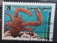 Ryby (kas) - luzak - do uzupełnień 13/5