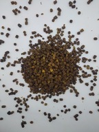 Pierzga pszczela 500g Polska Naturalna