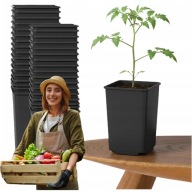 DONICZKI DONICZKA DO PIKOWANIA ROZSADY KWADRATOWE OGRODOWE 25SZT OGRÓDEK