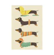 „Jamnik na Każdą Porę Roku” – Uroczy Ilustrowany Plakat