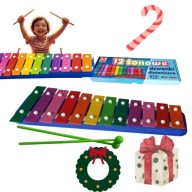 CYMBAŁKI DIATONICZNE MAREK – INSTRUMENT MUZYCZNY, WIELOKOLOROWY