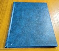 Potęga i funkcja potęgowa z wykładnikiem całkowitym opracowane met Gelfand