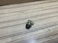 KARCHER K5 ZAWÓR ZAWOREK CHEMII DETERGENT ORG