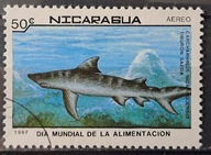 Ryby (kas) - luzak - do uzupełnień 13/8