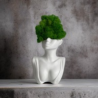 Doniczka głowa betonowa z chrobotkiem, prezent, dekoracje