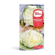 Sałata Grandes Lagos-California oryginalne hiszpańskie nasiona aż 5g