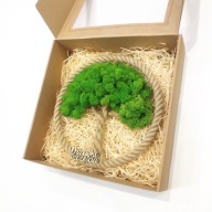 Drzewko Szczęścia Chrobotek, oryginalny prezent na każdą okazję, 26cm