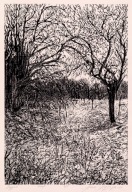 "Zagajnik" linoryt, 42x61 cm/70 x 50 cm